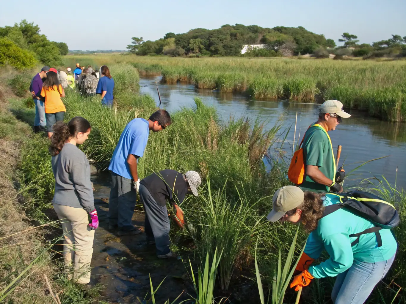 An image depicting SCCCLV members actively involved in a game management project, such as habitat restoration or wildlife monitoring, highlighting the club's dedication to conservation efforts.